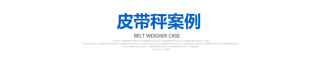皮带秤案例