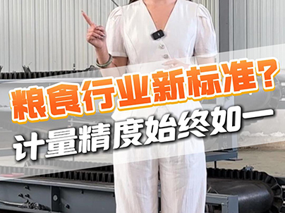 瑞川食品级皮带秤采用优质不锈钢材质打造